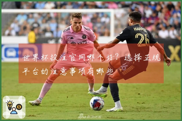 世界杯投注官网哪个好？选择正规平台的注意事项有哪些