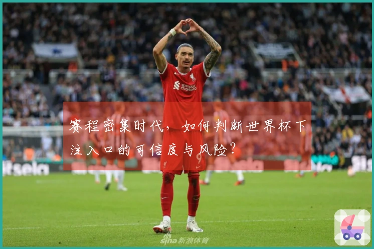 赛程密集时代，如何判断世界杯下注入口的可信度与风险？