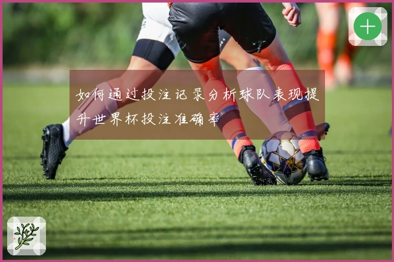 如何通过投注记录分析球队表现提升世界杯投注准确率