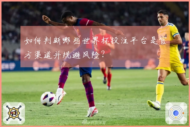 如何判断哪些世界杯投注平台是官方渠道并规避风险？