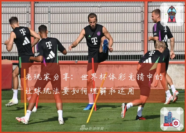 老玩家分享：世界杯体彩竞猜中的让球玩法要如何理解和运用