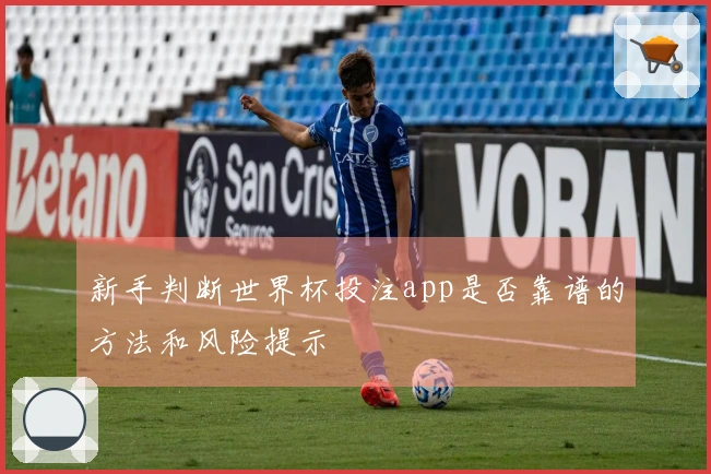 新手判断世界杯投注app是否靠谱的方法和风险提示