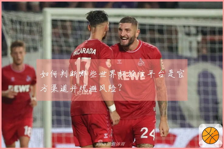 如何判断哪些世界杯投注平台是官方渠道并规避风险？
